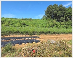  2025Ÿ��15958 �泲 ȫ���� �ݸ��� �۾ϸ� 176      ����(��1)���