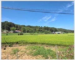  2025Ÿ��15958 �泲 ȫ���� �ݸ��� �۾ϸ� 176      ����(��1)���