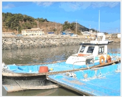  2025Ÿ��16127  ���ڰ��