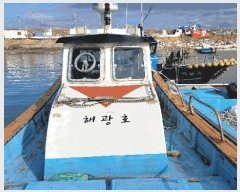  2025Ÿ��16127  ���ڰ��