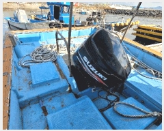  2025Ÿ��16127  ���ڰ��