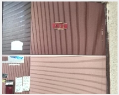  2025Ÿ��85  �ټ���(����)���