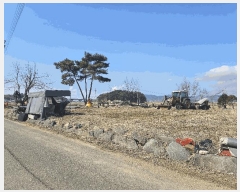  2025Ÿ��252  �������