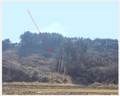  2025Ÿ��252  �������