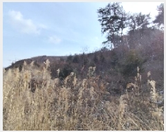  2025Ÿ��252  �Ӿ߰��