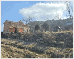  2025Ÿ��252  �������