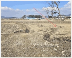  2025Ÿ��252  �������