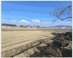  2025Ÿ��252  �������