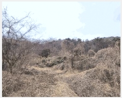  2025Ÿ��412 �泲 ȫ���� ��õ�� ���踮 ��116-3      ����(�Ӿ�)���