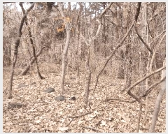  2025Ÿ��412 �泲 ȫ���� ��õ�� ���踮 ��116-3      ����(�Ӿ�)���