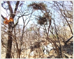  2025Ÿ��412 �泲 ȫ���� ��õ�� ���踮 ��116-3      ����(�Ӿ�)���