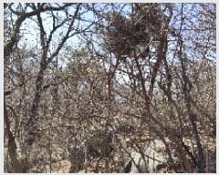  2025Ÿ��412 �泲 ȫ���� ��õ�� ���踮 ��116-3      ����(�Ӿ�)���