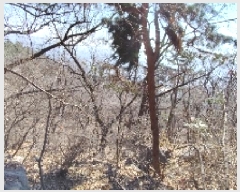  2025Ÿ��412 �泲 ȫ���� ��õ�� ���踮 ��116-3      ����(�Ӿ�)���