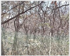  2025Ÿ��412 �泲 ȫ���� ��õ�� ���踮 ��116-3      ����(�Ӿ�)���