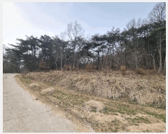  2025Ÿ665 泲 걺 ø ø 13-1      (Ӿ)