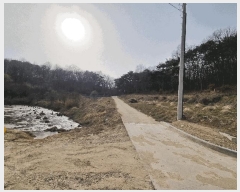  2025Ÿ665 泲 걺 ø ø 13-1      (Ӿ)