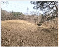  2025Ÿ665 泲 걺 ø ø 13-1      (Ӿ)