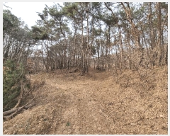  2025Ÿ665 泲 걺 ø ø 13-1      (Ӿ)