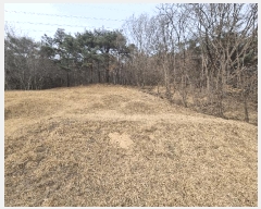  2025Ÿ665 泲 걺 ø ø 13-1      (Ӿ)