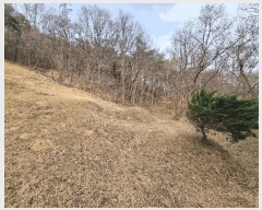  2025Ÿ665 泲 걺 ø ø 13-1      (Ӿ)