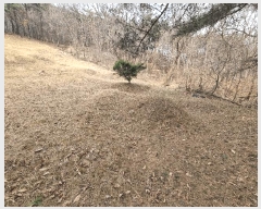  2025Ÿ665 泲 걺 ø ø 13-1      (Ӿ)