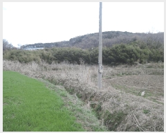  2025Ÿ849 泲 ȫ ϸ  376-1      (1)