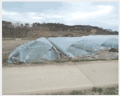  2025Ÿ849 泲 ȫ ϸ  376-1      (1)