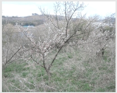  2025Ÿ849 泲 ȫ ϸ  376-1      (1)