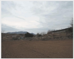  2025Ÿ849 泲 ȫ ϸ  376-1      (1)