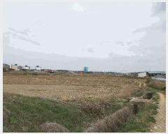  2025Ÿ887 泲 걺  âҸ 30-1      ()