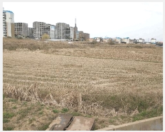  2025Ÿ887 泲 걺  âҸ 30-1      ()