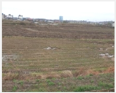  2025Ÿ887 泲 걺  âҸ 30-1      ()