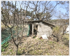  2025Ÿ��948  �������