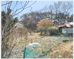  2025Ÿ��948  �������