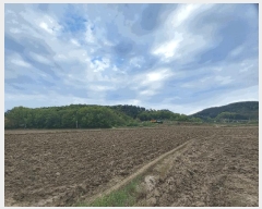  2025Ÿ986 泲 õ ȭ ߵ 137-4      (Ӿ)