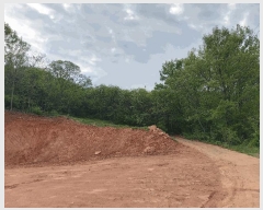  2025Ÿ986 泲 õ ȭ ߵ 137-4      (Ӿ)