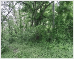  2025Ÿ986 泲 õ ȭ ߵ 137-4      (Ӿ)