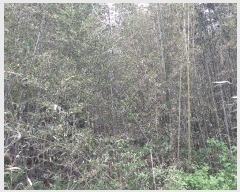  2025Ÿ986 泲 õ ȭ ߵ 137-4      (Ӿ)