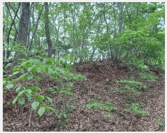  2025Ÿ986 泲 õ ȭ ߵ 137-4      (Ӿ)