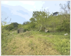  2025Ÿ986 泲 õ ȭ ߵ 137-4      (Ӿ)