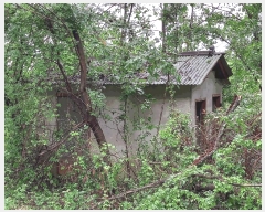  2025Ÿ986 泲 õ ȭ ߵ 137-4      (Ӿ)