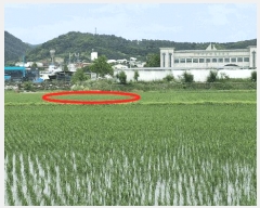  2025Ÿ1045 泲 걺  꼺 427-1      ()