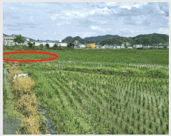  2025Ÿ1045 泲 걺  꼺 427-1      ()