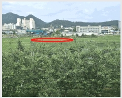  2025Ÿ1045 泲 걺  꼺 427-1      ()