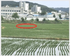  2025Ÿ1045 泲 걺  꼺 427-1      ()