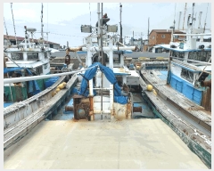  2025Ÿ��1047  ���ڰ��