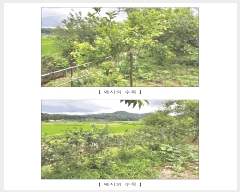  2025Ÿ��1058 �泲 ���걺 ����� ȭ���� 163      ����(��1)���