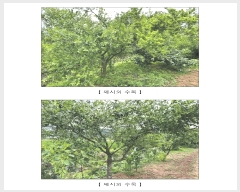  2025Ÿ��1058 �泲 ���걺 ����� ȭ���� 163      ����(��1)���