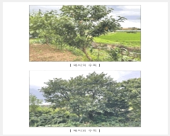  2025Ÿ��1058 �泲 ���걺 ����� ȭ���� 163      ����(��1)���