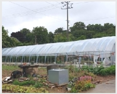  2025Ÿ��1058 �泲 ���걺 ����� ȭ���� 163      ����(��1)���